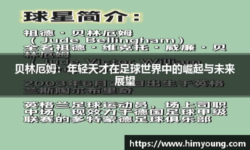 金年会官网